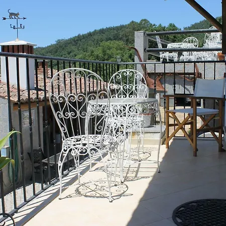 Horta Do Ze Miguel *