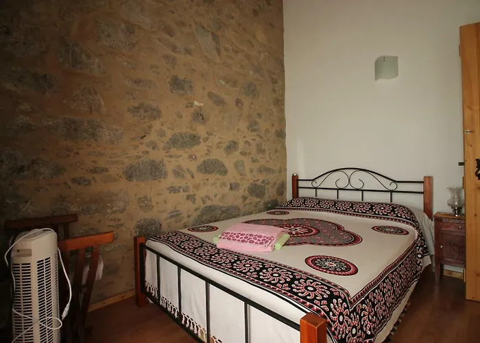 Horta Do Ze Miguel *