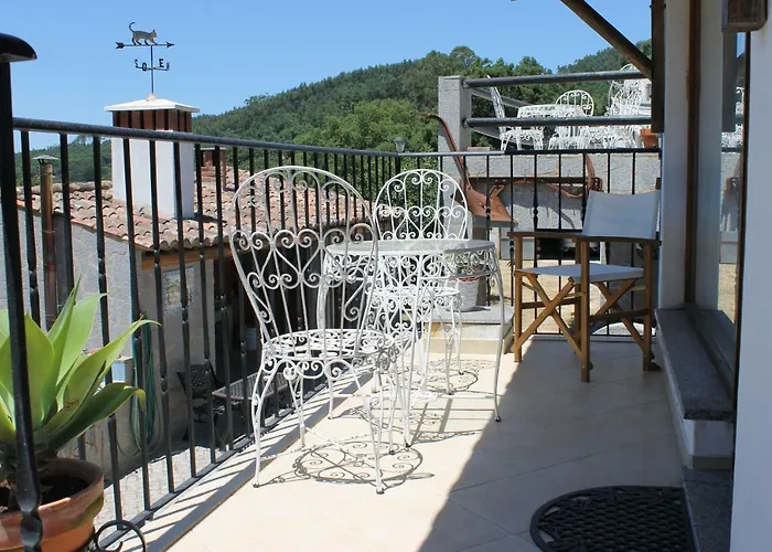 Horta Do Ze Miguel *