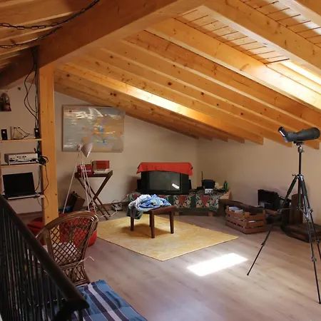 Horta Do Ze Miguel Feriegård