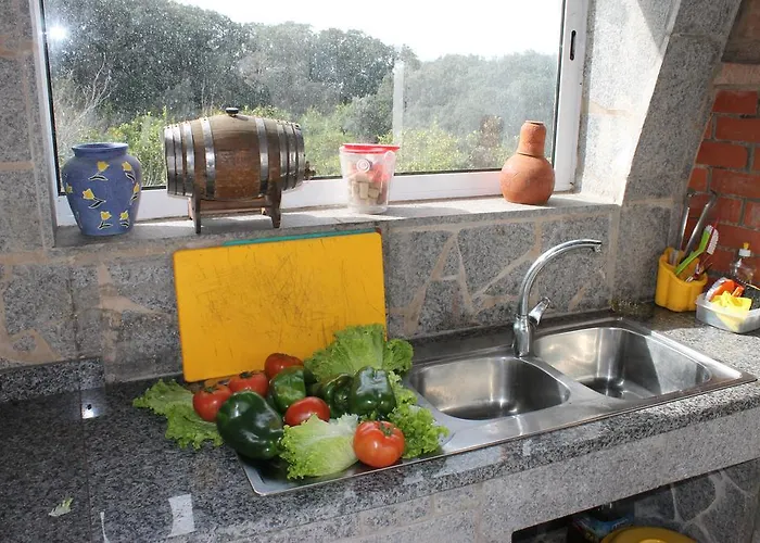 Horta Do Ze Miguel Feriegård