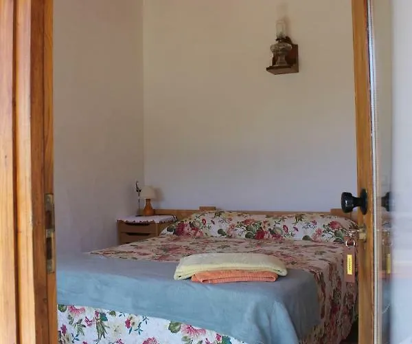 Horta Do Ze Miguel Feriegård